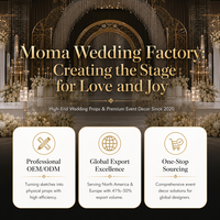 Nouvelle Arrivée - Arche Métallique Personnalisée avec Rideau en Tissu, Décoration de Scène de Luxe Certifiée ISO9001 pour Mariages et Fêtes