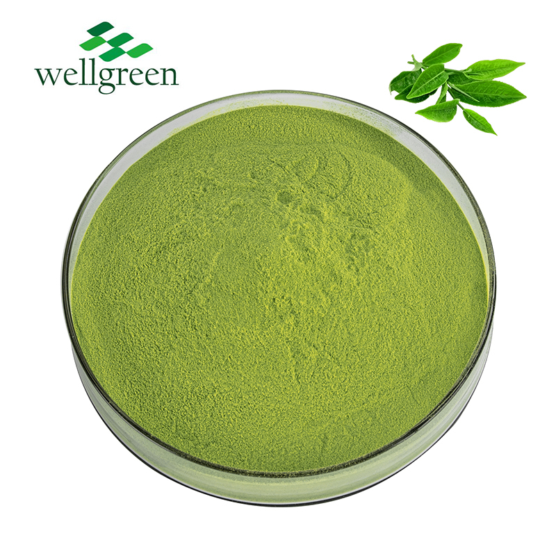 Pure Natural Green Tea Extract Powder