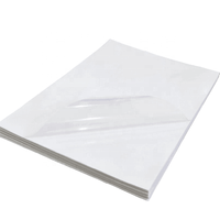 Papel Adhesivo de Vinilo Imprimible de Primera Calidad, Resistente al Agua, PET/PP, para Impresoras Láser e Inyección de Tinta