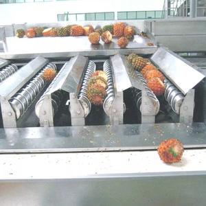 Linea di Lavorazione Automatica Personalizzata ad Alte Prestazioni per Ananas e Verdure, Miscelatore con Capacità <span class=keywords><strong>3</strong></span>-50t/h, Risparmio Energetico, Acciaio Inossidabile - Product Image 2