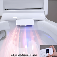 Toilette intelligente monobloc à ouverture et fermeture automatiques, avec bidet chauffant, massage, mode enfant, sans pression d'eau, vente en gros Chine