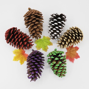 Lớn Màu Trắng Trang Trí Tự Nhiên Nón Thông Với Chuỗi Net Túi - Product Image 5