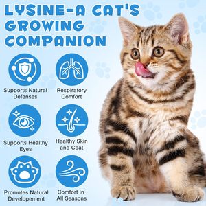 Gotas de L-Lisina con Astrágalo para Gatos, Inmunidad, Salud Respiratoria, Digestiva y Ocular, Vitaminas Orgánicas de Rápida Absorción para Mascotas Mayores, Suplemento para Mascotas - Product Image 4