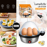 Pemasak Telur Multifungsi 400W Pengukus Telur Mini 110V 220V Peralatan Rumah Tangga Dapur Rumah Pengukus Telur Sarapan