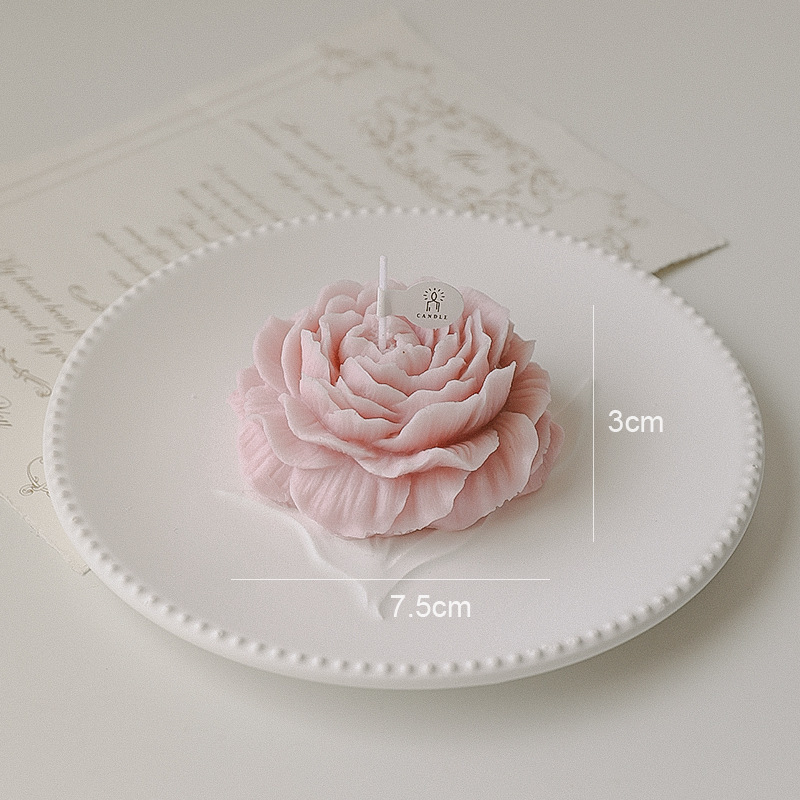Morandi rose