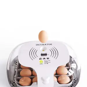 Мини-автоматический инкубатор для яиц, инкубатор для 16 яиц, 220/110 вольт, инкубатор для яиц, цена