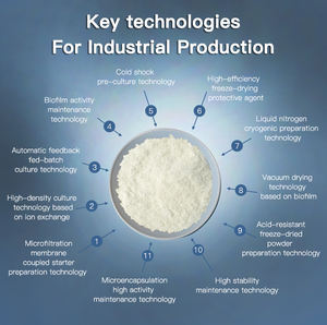 High Live liofilizado Akkermansia Muciniphila 20B CFU materia prima en polvo AKK probióticos para la salud <span class=keywords><strong>intestinal</strong></span> y el soporte <span class=keywords><strong>de</strong></span> microbiomas - Product Image 3