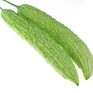 ผงเปปไทด์ขมจากแตงขมธรรมชาติผลิตจากโรงงาน98% ผงเปปไทด์รสขม - Product Image 2