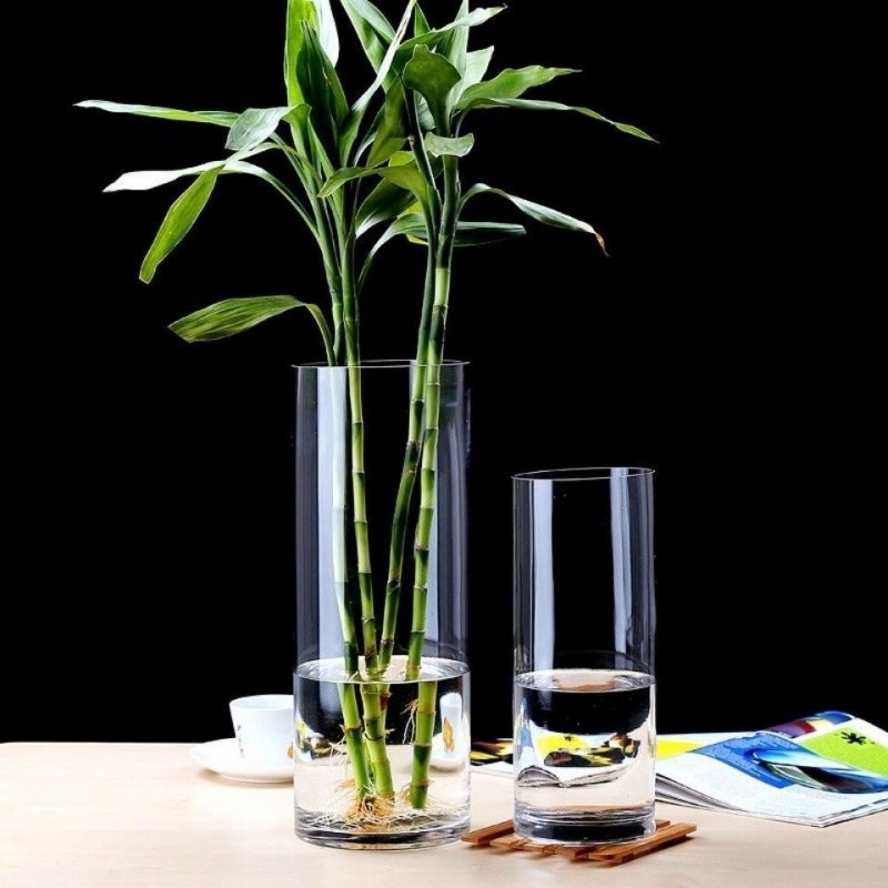Factory Produced Wholesale Glass Flower Vase for Home Decor
