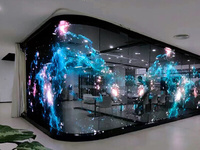 Écran LED transparent holographique 3D flexible invisible pour fenêtres en verre, intérieur, P3.91, P6.25, P8, P10