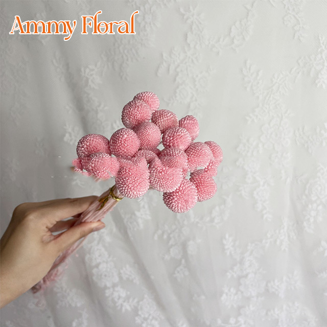 Rose Sakura (20 têtes)