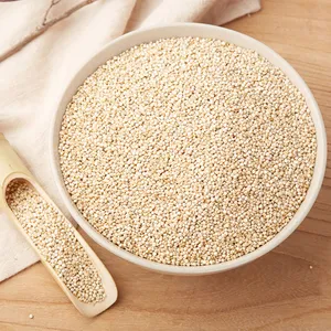 Quinoa Fresh Dried Seeds Extract High Protein Sprouted Peptide Puffed Quinoa Powder