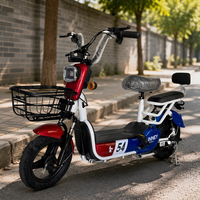 Vélo électrique urbain pour adultes, série graphène 48V, neuf d'usine, 350W, assistance au pédalage, double suspension, batterie lithium haute vitesse 60KM