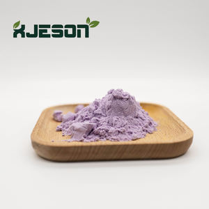 Grosir penjualan terbesar 100% bubuk jus kubis ungu murni - Product Image 1