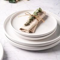 Assiettes en céramique réutilisables portables en gros d'usine, grand ensemble de vaisselle en grès pour la maison et la cuisine, compatible micro-ondes