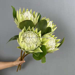 Flores artificiales populares Protea de tallo grande flocado Protea flor para decoraciones del hogar del banquete de boda - Product Image 3
