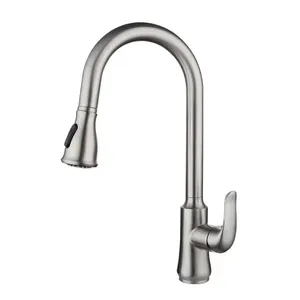 Modern Design Lusa Single Handle Pull out Water Tap with Brushed Plating Made from Durable 304 Stainless Steel Kitchen Faucet