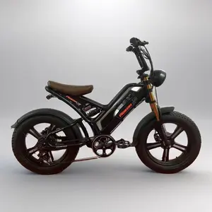 XINGAO48V arka hub motor elektrikli bisiklet 20-inch elektrikli yol bisikleti