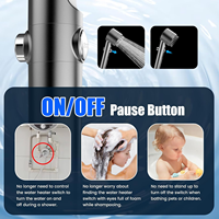 Pommeau de Douche Portable ABS Pressurisé Puissant avec Filtre, Design Moderne, Sortie Unique, Accessoire de Robinet de Salle de Bain pour une Utilisation Facile