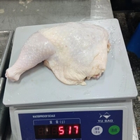 Fournisseur fiable, meilleure qualité, quartiers de cuisse de poulet congelés, emballage en vrac, poulet halal de première qualité à vendre