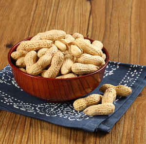 Compre <span class=keywords><strong>Cacahuetes</strong></span> Frescos de Alta Calidad, <span class=keywords><strong>Crudos</strong></span> y Secos, con Piel Roja, Sabor Premium para Tostar y Cocinar - Product Image 4