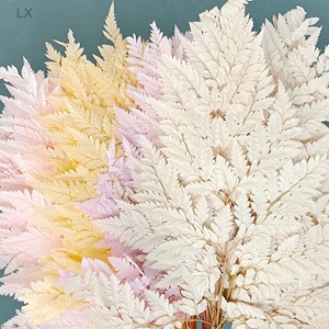 La migliore vendita di fiori secchi e <span class=keywords><strong>felce</strong></span> in pelle conservata per la decorazione della casa per la celebrazione del capodanno cinese - Product Image 2