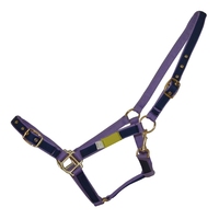 Harnais de dressage anglais en nylon de qualité supérieure, style selle australienne, avec rembourrage en gel pour le confort du cheval