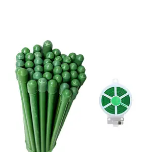 Vente chaude Fiber De Verre Jardin Plante Support Piquets Fleur Pôle Support bâton Avec Deux Capuchons En Caoutchouc