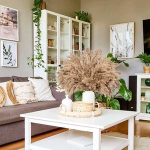 Prix de gros de semences d'herbe de <span class=keywords><strong>pampa</strong></span> 17 pouces d'herbe de <span class=keywords><strong>pampa</strong></span> naturelle séchée brun clair pour décoration de mariage - Product Image 5