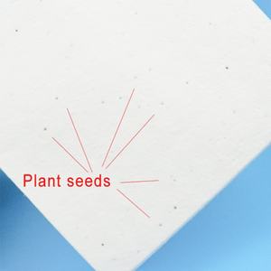 Caja Rígida Cuadrada Personalizable con Logotipo, Reciclable, Biodegradable y Ecológica para Empaque de Papel, con Relieve, Laminado Mate y Esponja - Product Image 6