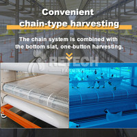 RETECH Cage agricole moderne automatique à 4 niveaux pour poulets de chair Équipement agricole pour poulets de chair avec alimentation des poulets de chair et équipement de sol