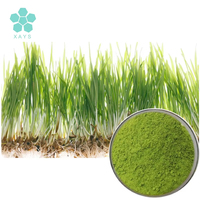 Extrait de jus d'herbe d'orge verte en vrac, poudre d'herbe d'orge pure et naturelle