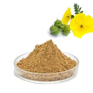 Oem private label tribulus terrestre estratto 45 puro naturale tribulus terrestre estratto in polvere - Product Image 2