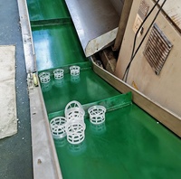 Hochfeste PP/CPVC/PVDF 25mm 38mm 50mm Kunststoff-Kaskaden-Miniringe für CO2-Absorptionstürme und -Wäscher