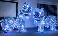 Costume de danse du lion du sud de la Chine lumineux à LED RGB, rechargeable, pour spectacle de Nouvel An et carnaval