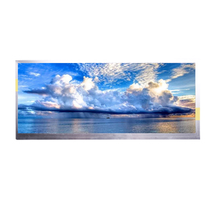 Panel Lcd Ips de 12,3 pulgadas para autobús y coche, pantalla <span class=keywords><strong>Tft</strong></span> de brillo de 1920x720 850, Industrial, nueva barra estirada - Product Image 4