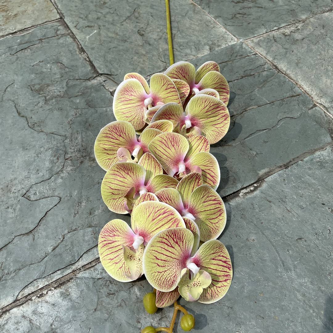 สีเขียว