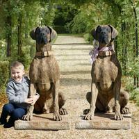 Statue de chien grandeur nature en résine de fibres de verre pour jardin, sculpture professionnelle personnalisée en polyrésine de dogue allemand
