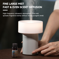 Diffuseur d'arômes ultrasonique 100 ml, diffuseur d'huiles essentielles, brume fine, lumière chaude et froide pour la maison, le bureau, fournisseur OEM