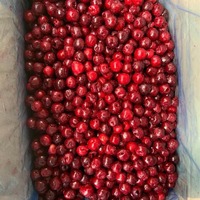 HACCP OEM merken fabrieks prijs pitloze groothandel IQF diepvries verse zoete kersen uit China voor desserts