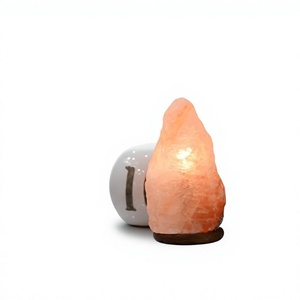 Lampe de sel de l'Himalaya 100% pure et originale de haute qualité, nouveau design, mini lampe de nuit USB en forme d'éléphant, lampe décorative artisanale naturelle. - Product Image 1