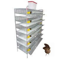 Cages de batterie professionnelles pour l'élevage de cailles en élevage intensif