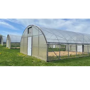 with Hydroponics System for 10m 20m 50m Strawberry Fruits vegetables Tomato Planting Plastic Film Greenhouse