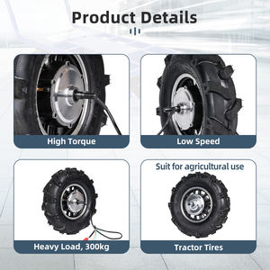 มอเตอร์ดุม<span class=keywords><strong>ล้อ</strong></span>ไฟฟ้าแรงบิดสูงสุด48โวลต์1000วัตต์มอเตอร์150N.M 300กิโลกรัมรับน้ำหนักได้สำหรับรถเข็นในสวนผลไม้ฟาร์ม - Product Image 5