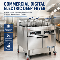 Friteuse Électrique Professionnelle Ouverte pour Frites, Poulet Rôti et Dinde – Idéale pour Restaurants