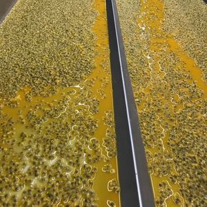 Fruit de la Passion Tropical Congelé Premium en Gros, Produit Authentique Fraîchement Congelé pour Assurer Qualité et Goût, Jus en Vrac. - Product Image 1