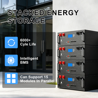 Batterie LiFePO4 de haute qualité 51,2 V 100 Ah 5 kWh pour montage en rack de serveur avec BMS intelligent et application WIFI pour système de stockage d'énergie solaire