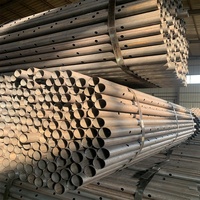 Étais de construction modernes en acier Q235 pour échafaudage, réglables, haute résistance, résistants à la corrosion, 8ft, 10ft, 15ft