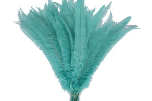 50 ، ريش نعام ناندو للحفلات المنزلية ، مزهرية زفاف ، ديكور يدوي ، قبعة زهور ، إكسسوارات أغطية رأس - Product Image 2