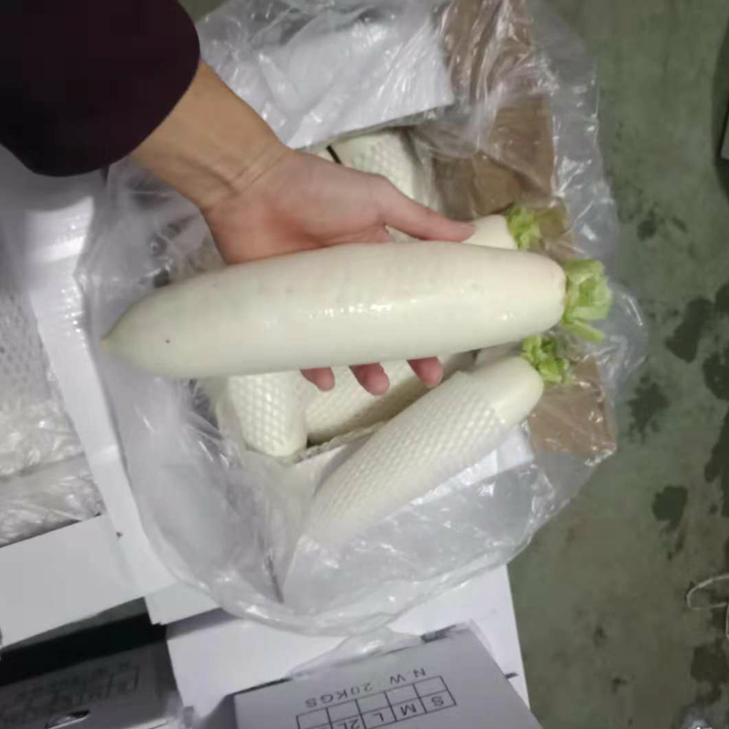 White Radish 700 900g China Supply